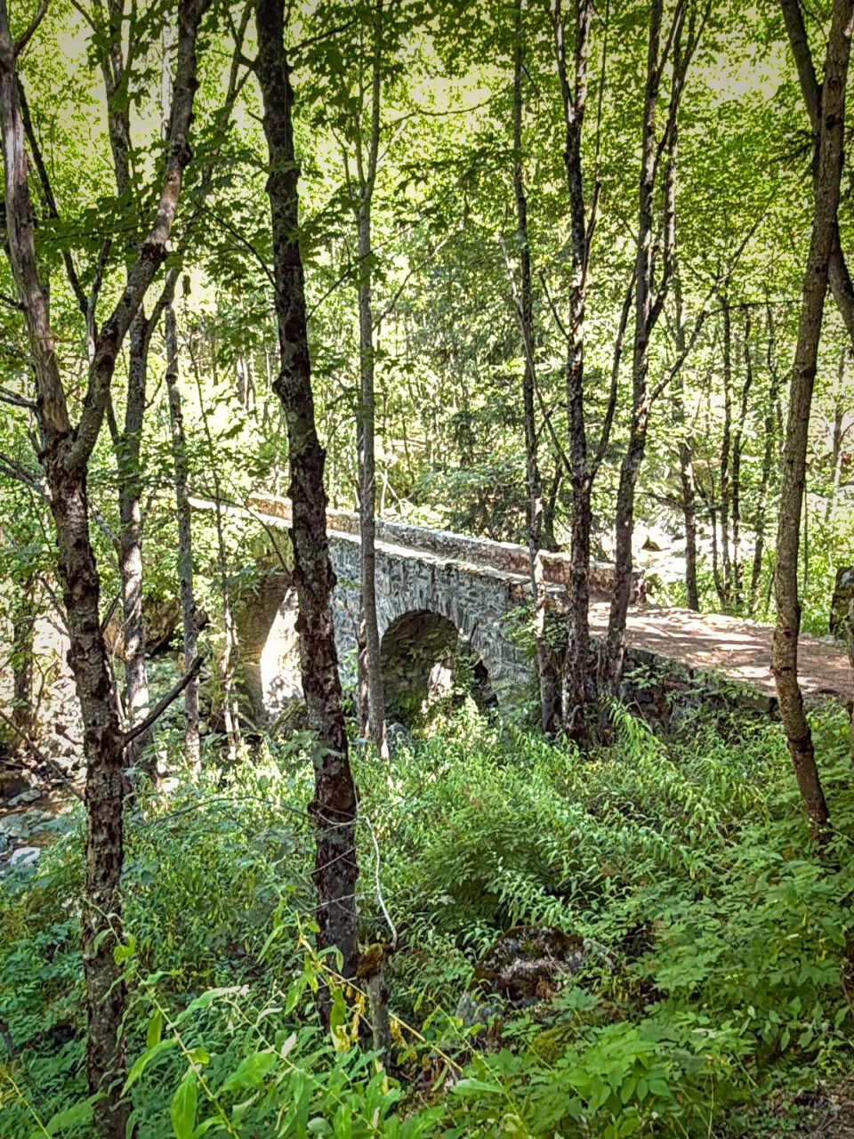 Hängebrücke über den Vénéon