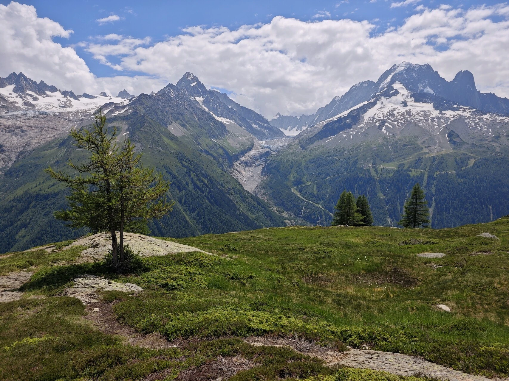 Eine einzeln stehende Lärche vor dem glacier d'Argentière und der Aiguille Verte