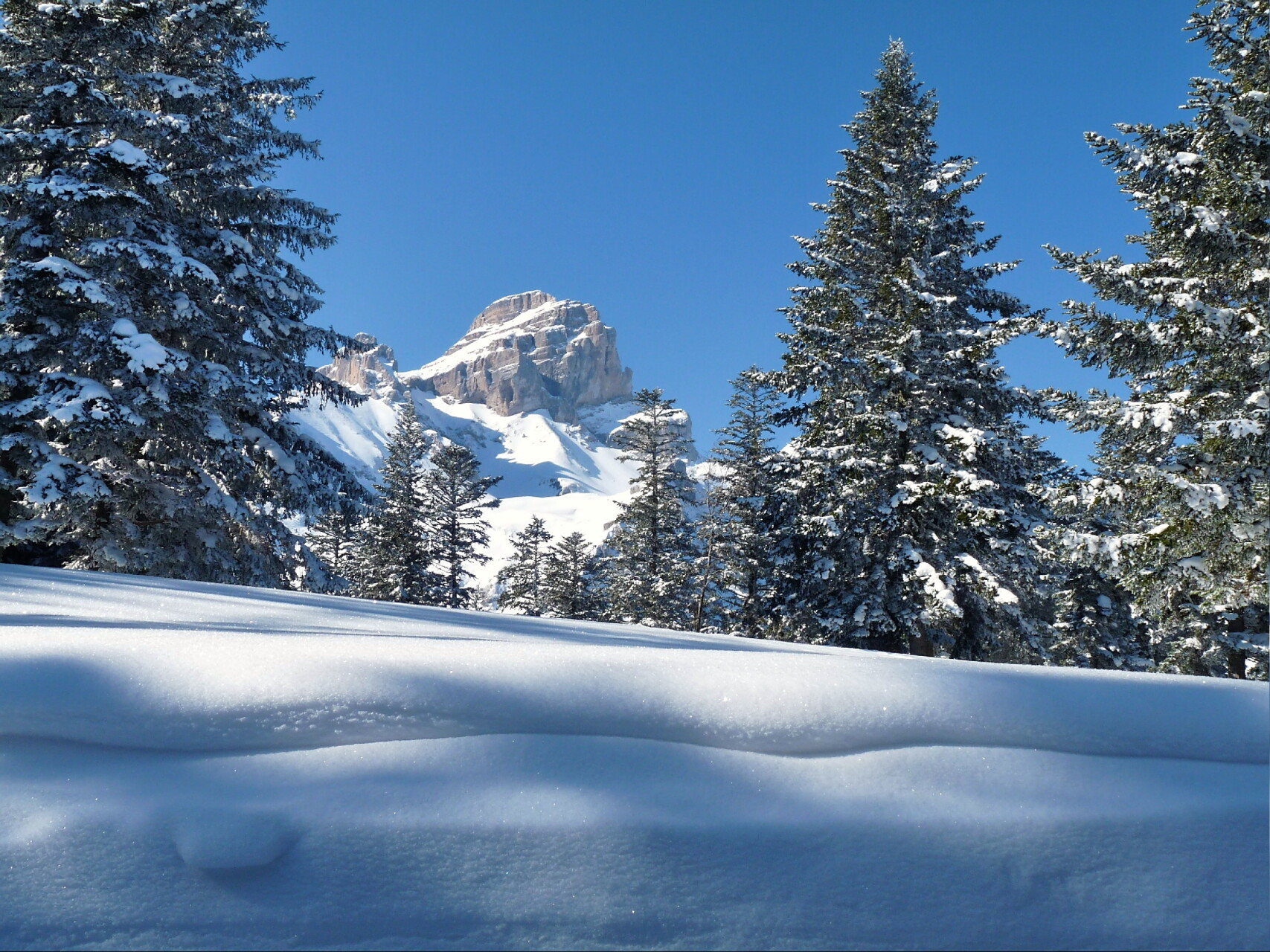 Nouvel an refuge montagne Obiou