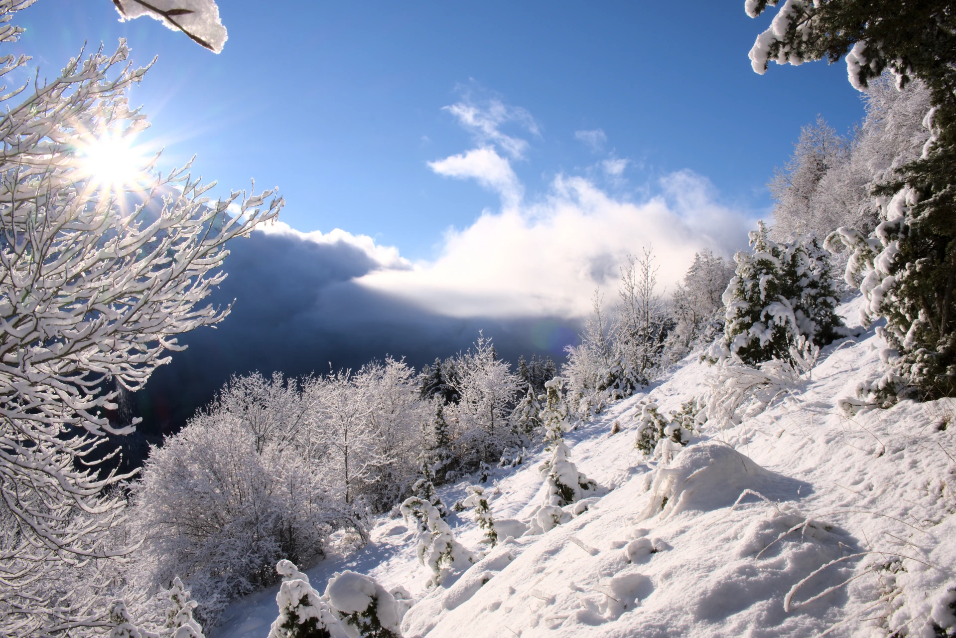 Schneelandschaft im Champsaur
