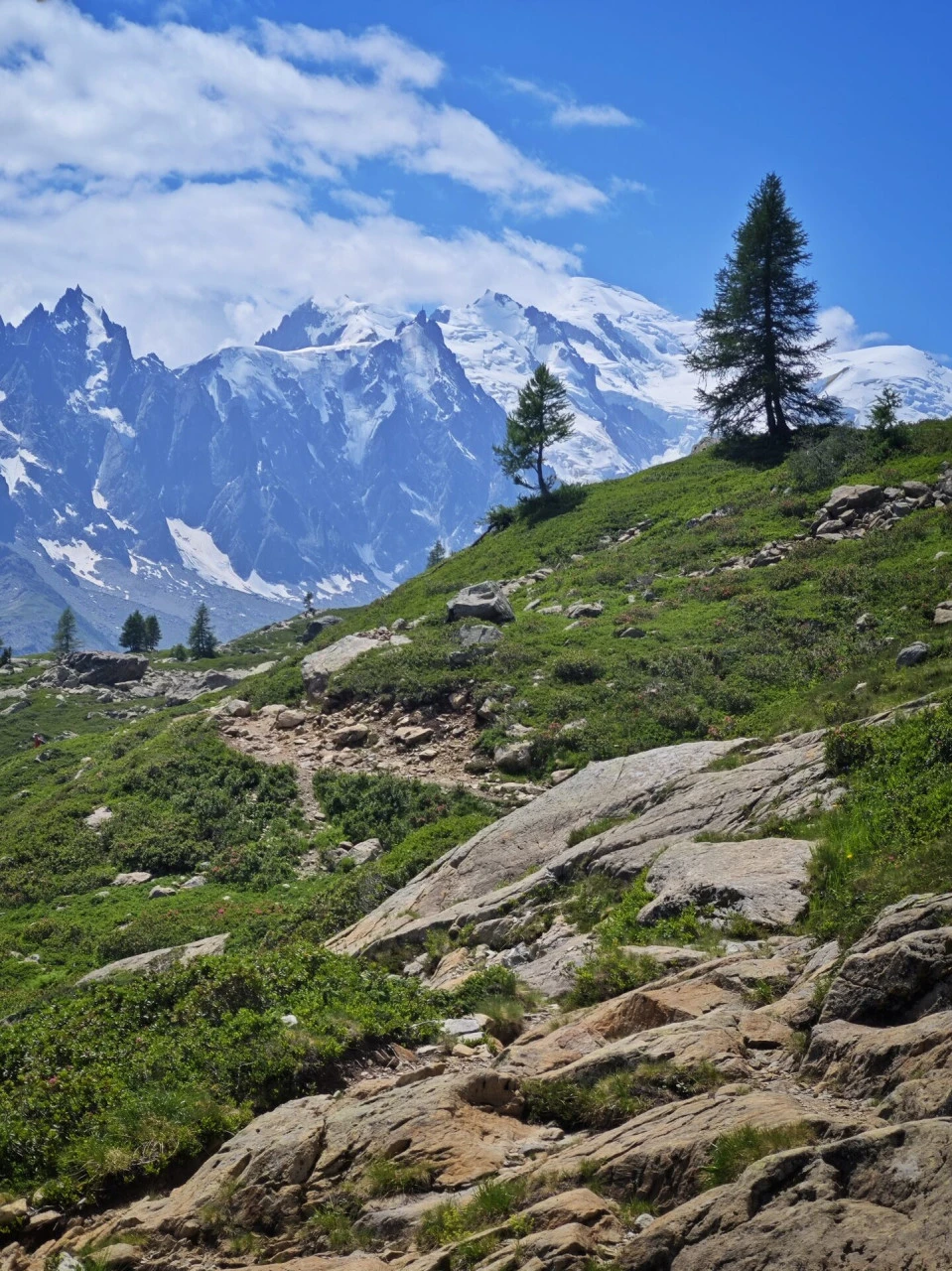 Der Weg oberhalb des col des Montets, mit dem Mont-Blanc-Massiv als Gegenüber während des gesamten Aufstiegs