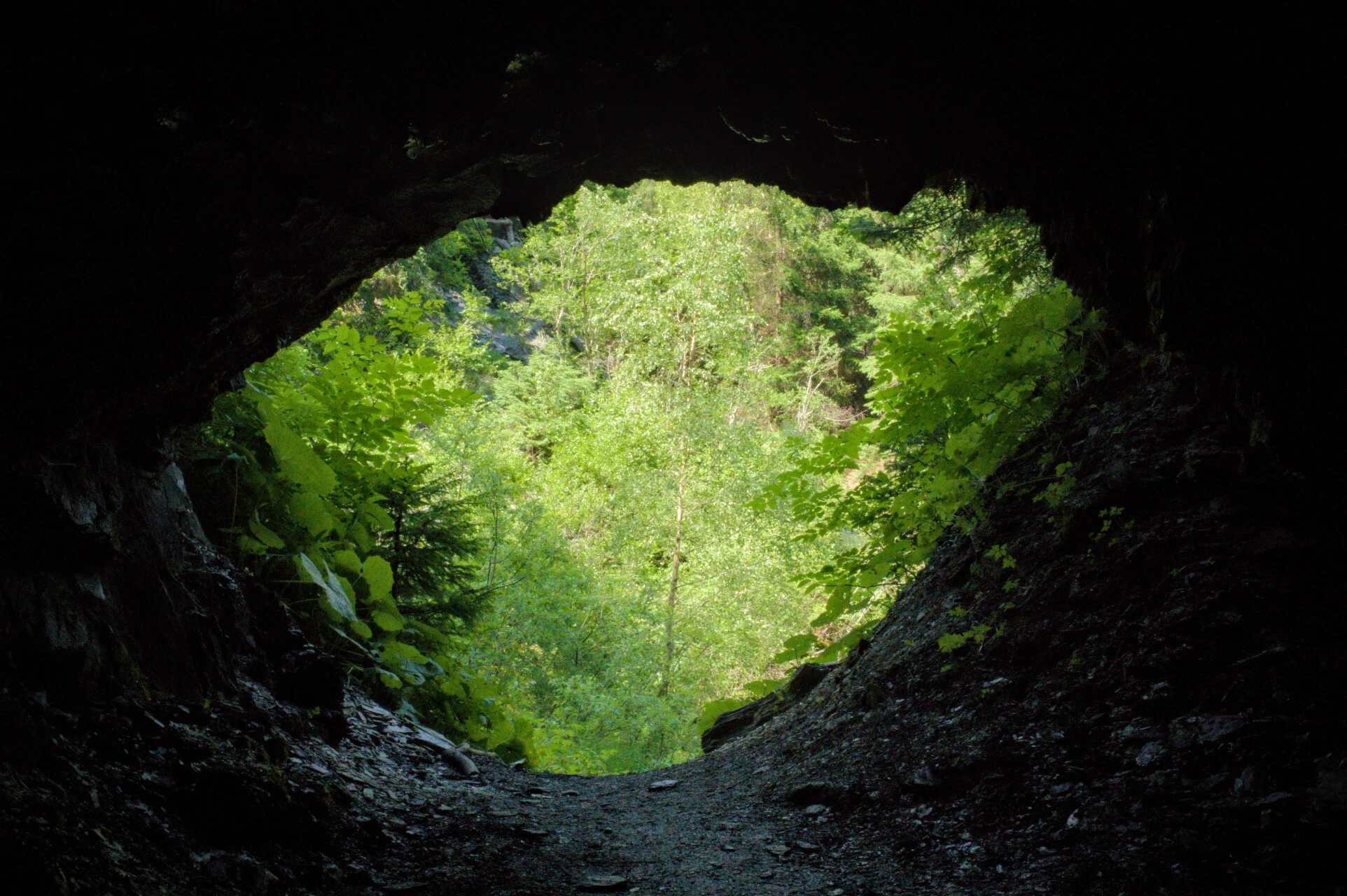 Blätterdach am Ankunftsweg nach Champex
