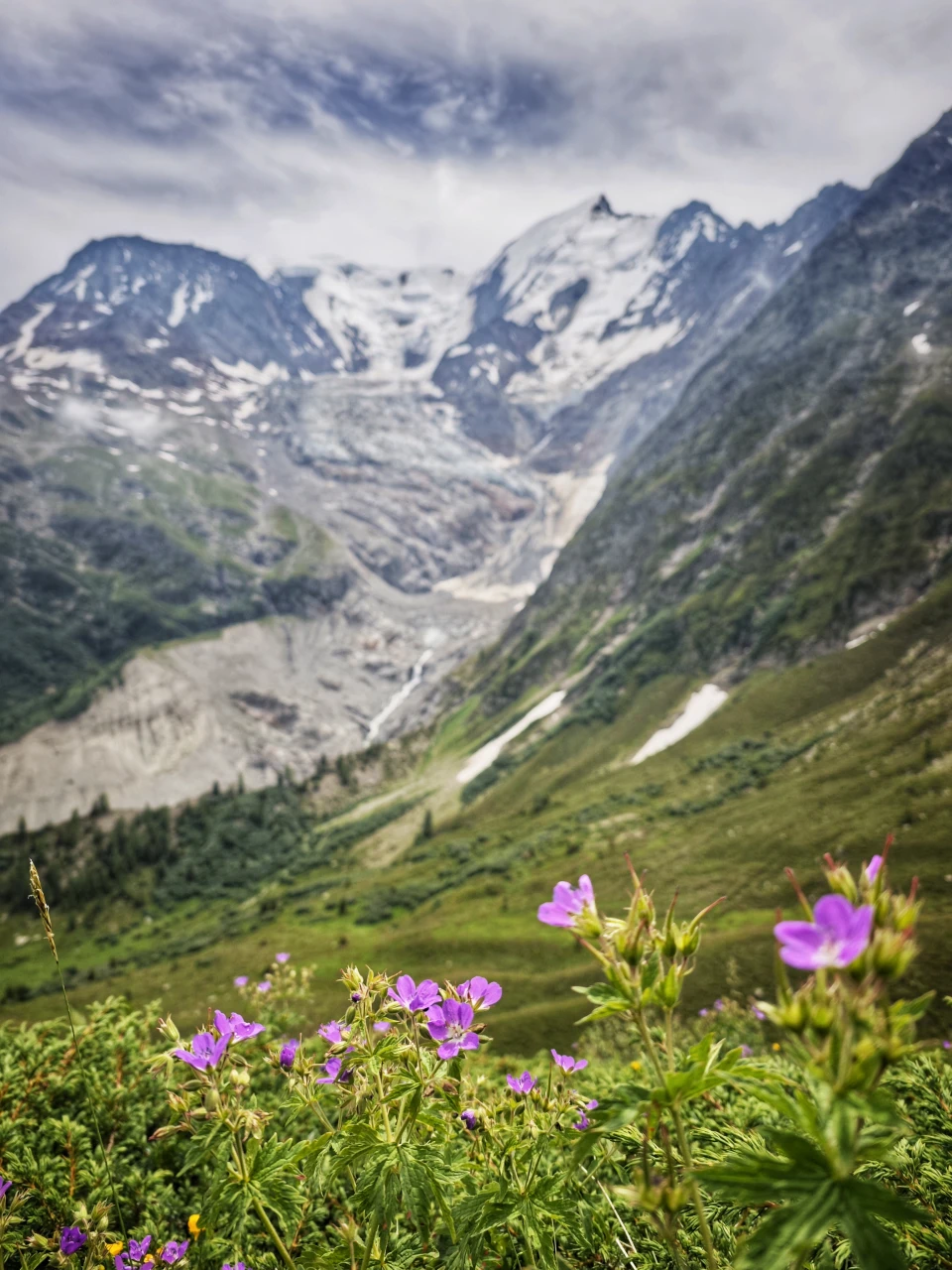 Der Glacier de Bionnassay vom Weg der Variante aus